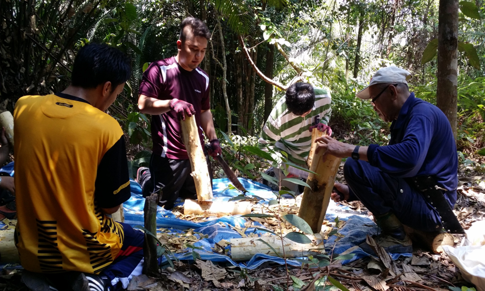 UPSI biodiversity fieldwork 08